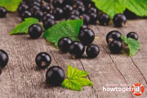 Варення з чорної смородини: склад, властивості та рецепти Чи корисне варення з чорної смородини